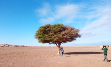 Tour Marruecos 5 días desde Tánger