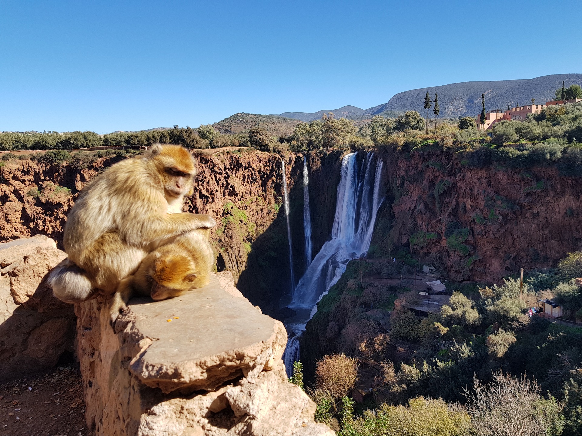 8 dias Fez desierto Cascadas