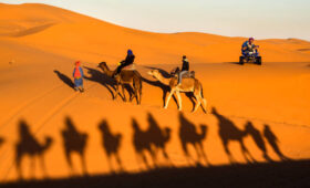 Cuándo ir al desierto del Sahara