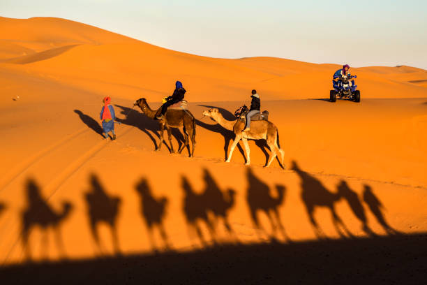 Cuándo ir al desierto del Sahara